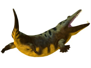 Mastodonsaurus amfibi kuyruk