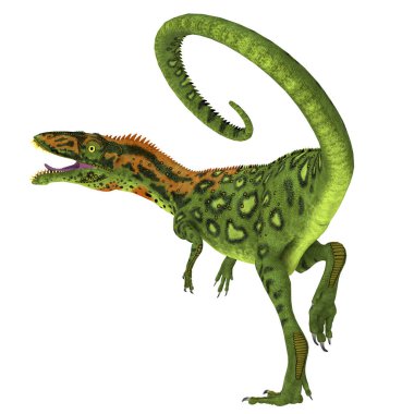 Masiakasaurus dinozor kuyruk