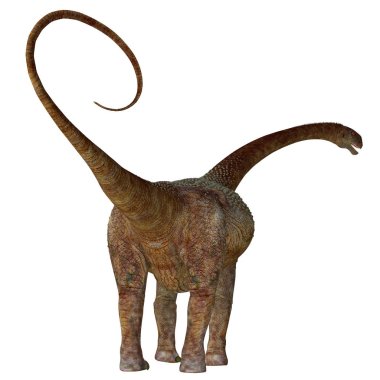 Malawisaurus dinozor kuyruk