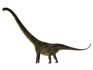 Mamenchisaurus youngi dinozor yan profili