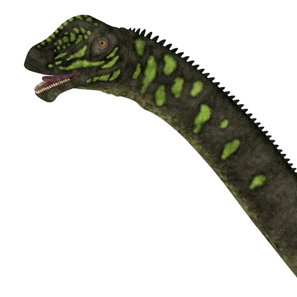 Mamenchisaurus youngi голову динозавра — стокове фото