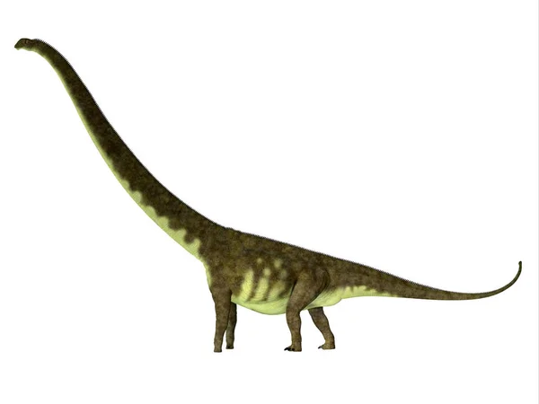 Perfil lateral do dinossauro Mamenchisaurus hochuanensis — Fotografia de Stock