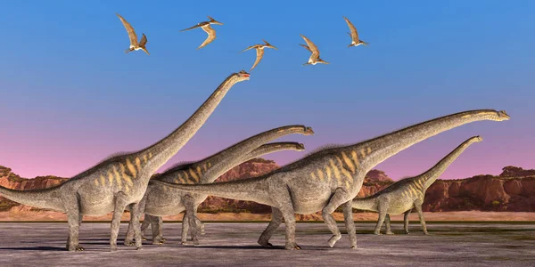 Sauroposeidon Dinosaur Herd — Stock Photo, Image