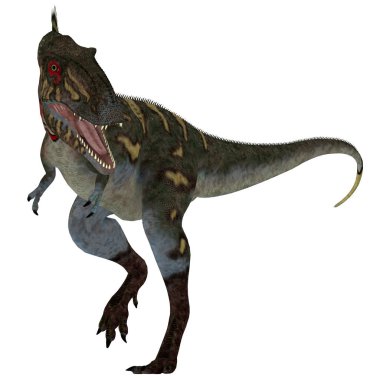 Beyaz Nanotyrannus Dinozor