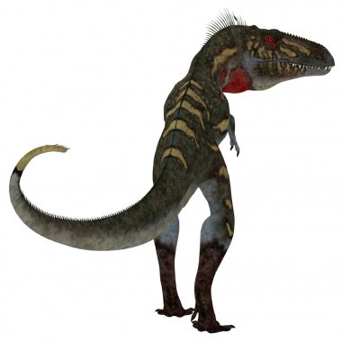 Nanotyrannus Dinozor Kuyruğu