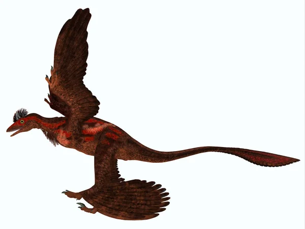 A Microraptor Oldalprofilja — Stock Fotó