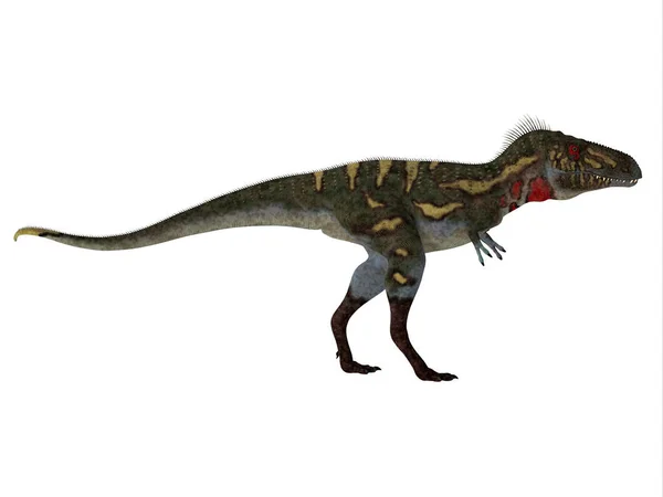 Profilo laterale del dinosauro Nanotyrannus — Foto Stock