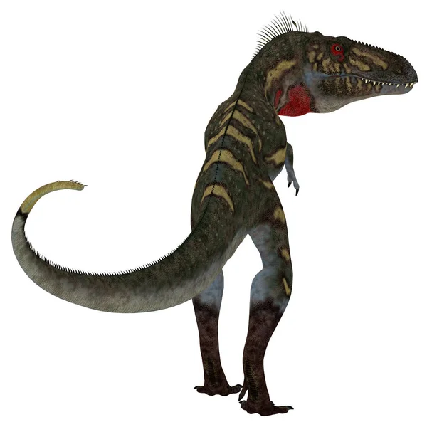 纳米暴龙恐龙尾巴 — 图库照片