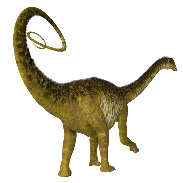Nigersaurus dinosauří ocas — Stock fotografie