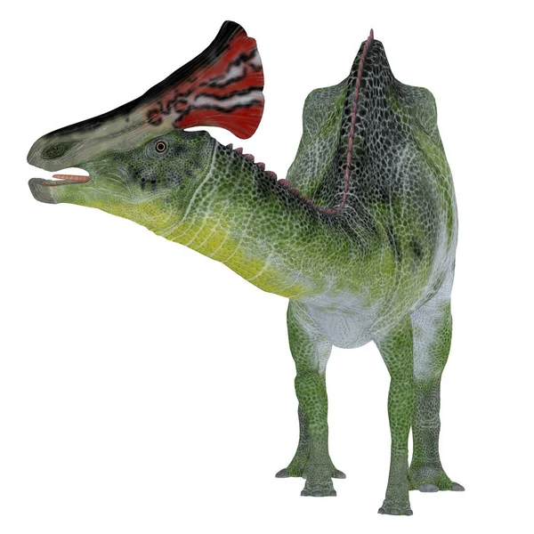 Crista do dinossauro de Olorotitan — Fotografia de Stock