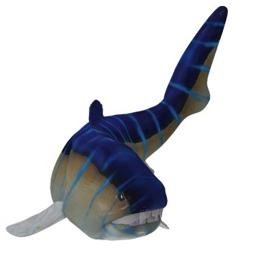 Dunkleosteus Balık Kuyruğu