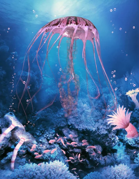 Compass Jellyfish in Ocean — Stock Photo, Image