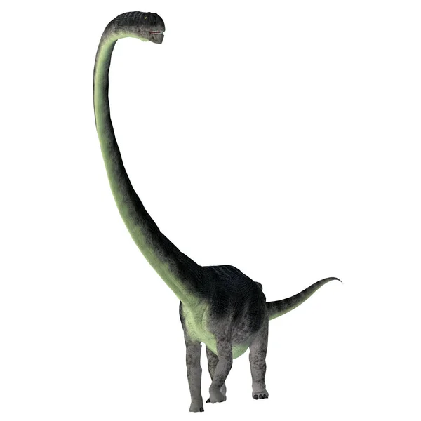 Omeisaurus dinosaurier front — Stockfoto