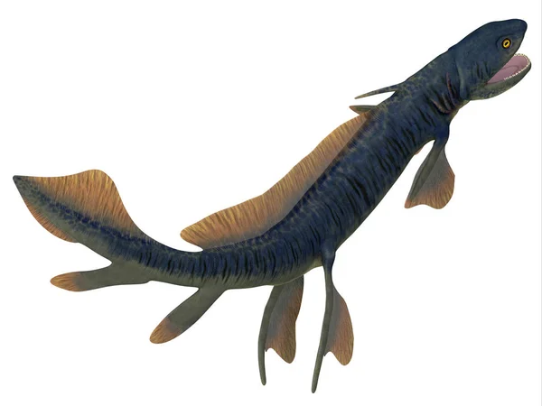 Hai-Schwanz von Orthacanthus — Stockfoto