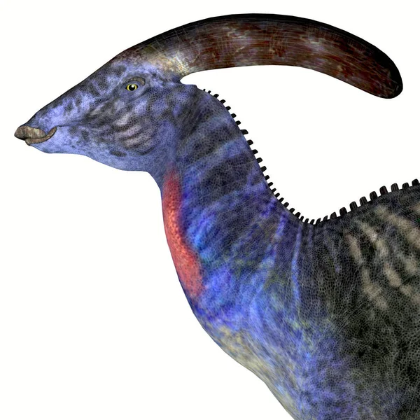 Tête de dinosaure Parasaurolophus — Photo