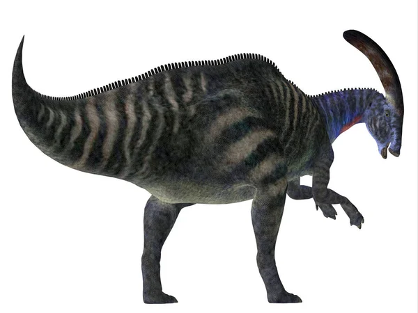 Cauda de dinossauro Parasaurolophus — Fotografia de Stock
