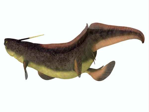 Xenacanthus Shark Tail — Stock Photo, Image