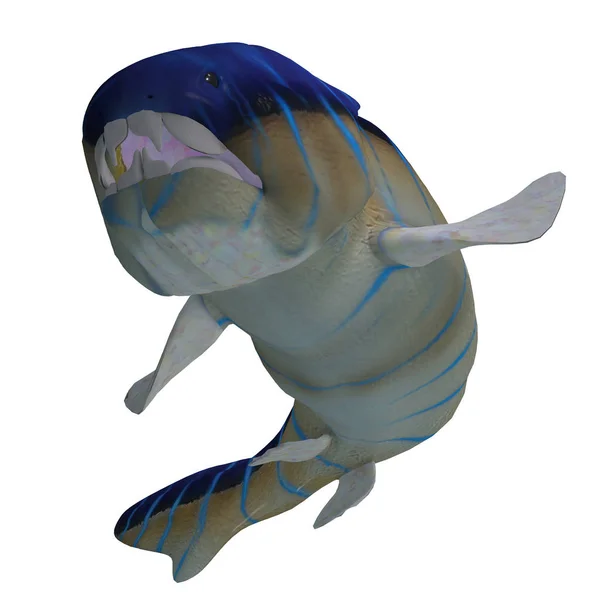 Dunkleosteus Denti di pesce — Foto Stock