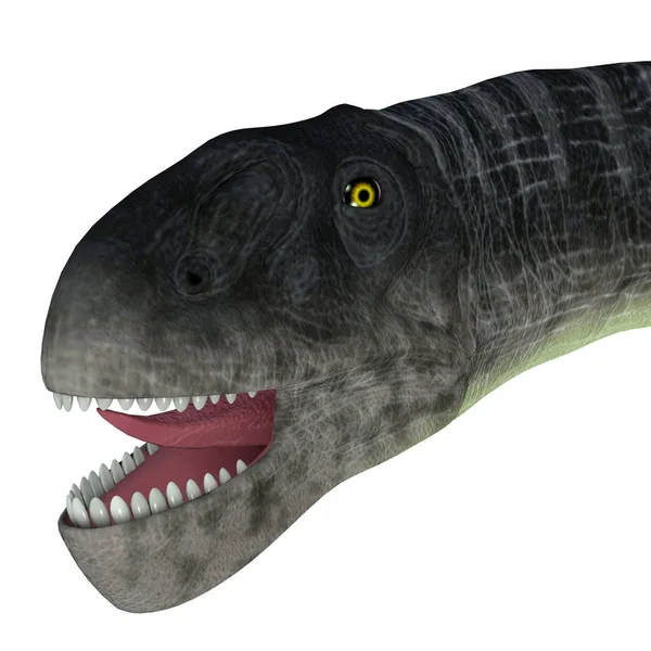 Голова динозавра омейзавра — стоковое фото