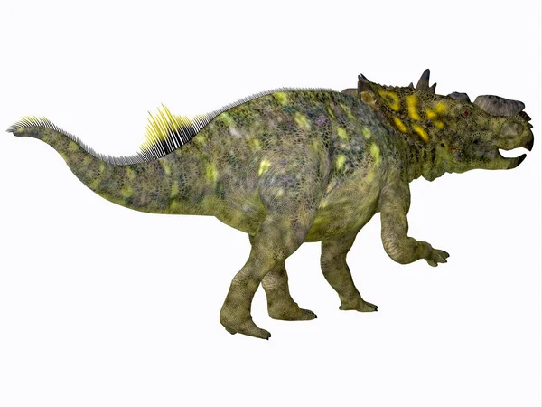 Cauda de dinossauro paquirinossauro — Fotografia de Stock