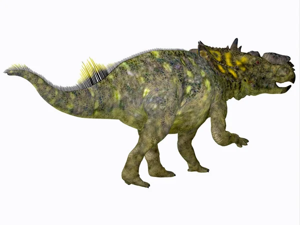 Pachyrhinosaurus dinosaurie svans — Stockfoto