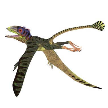 Peteinosaurus Sürüngen Kuyruğu