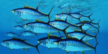 School of Yellowfin Tuna clipart