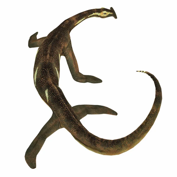 Atopodentatus Marine Reptile Tail — Stock Photo, Image