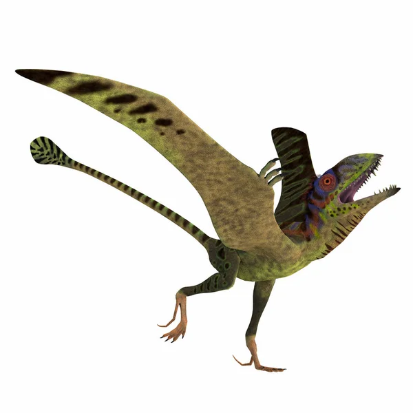 Peteinosaurus hüllő párosodás kijelző — Stock Fotó