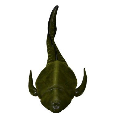 Bothriolepis Fish Head clipart