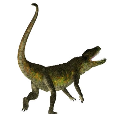 Postosuchus Sürüngen Kuyruğu