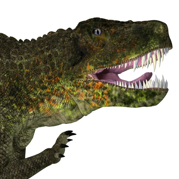 Postosuchus爬行动物头 — 图库照片