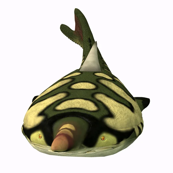Pteraspis Fish Head — стоковое фото