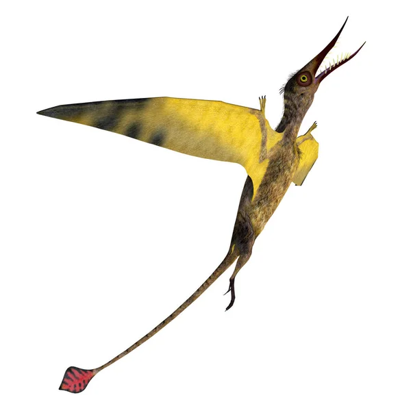 Klättring av ramphorhynchus pterosaurie — Stockfoto