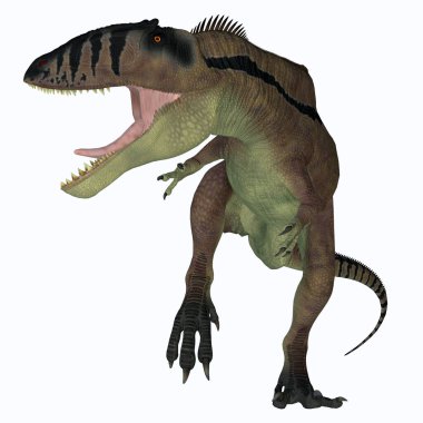 Carcharodontosaurus, Kretase döneminde Afrika, Sahra 'da yaşamış yırtıcı bir theropod dinozorudur..