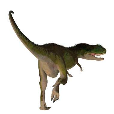 Rugops, Kretase Dönemi boyunca Afrika 'da yaşamış yırtıcı bir Theropod dinozoruydu..