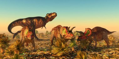 Bir grup erkek Triceratops dinozoru, bir Tyrannosaurus rex etoburu tarafından Jurassic Kuzey Amerika 'da av olarak görülürken alarma geçiyorlar.. 
