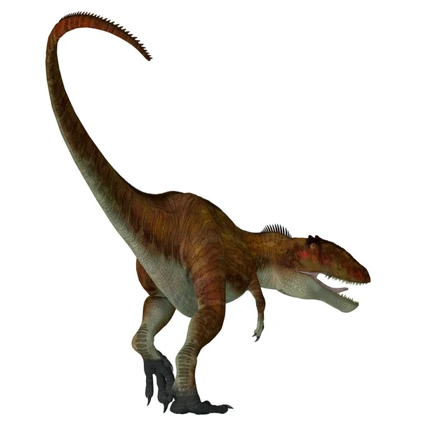 Carcharodontosaurus War Ein Räuberischer Theropoden Dinosaurier Der Während Der Kreidezeit — Stockfoto