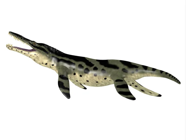 Das Fleischfressende Meeresreptil Kronosaurus Lebte Während Der Kreidezeit Den Meeren — Stockfoto