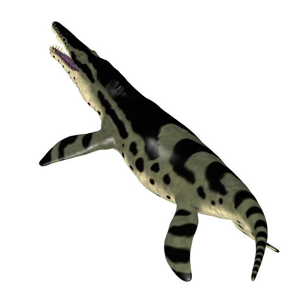 Das Fleischfressende Meeresreptil Kronosaurus Lebte Während Der Kreidezeit Den Meeren — Stockfoto