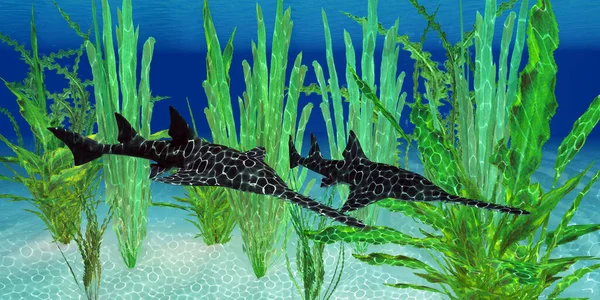 白亜紀のいくつかの国の海に生息していた捕食サメのオニヒトデ — ストック写真