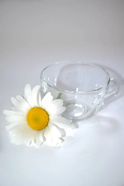 Transparente Glasschale mit Kamille 4 — Stockfoto