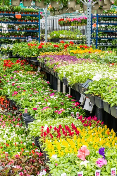 Dentro del Centro del Jardín — Foto de Stock