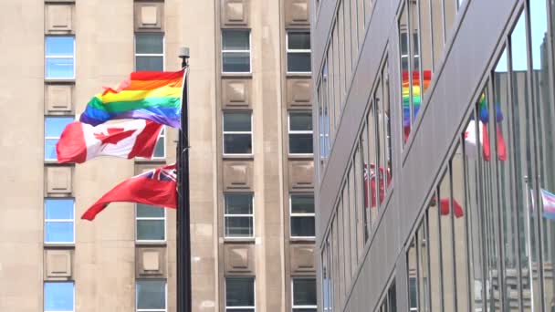 ธงสายร Lgbt นบนเสาพร อมก บธงของแคนาดาและธงของจ งหว Ontatrio แคนาดาในโตรอนโต — วีดีโอสต็อก