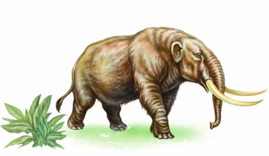 ancient mammoth, extinct mastodon, realistic image isolated on white background clipart