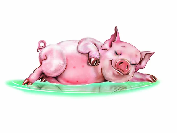funny pig lies in a puddle, cartoon animal is bathing, isolated character on a white background