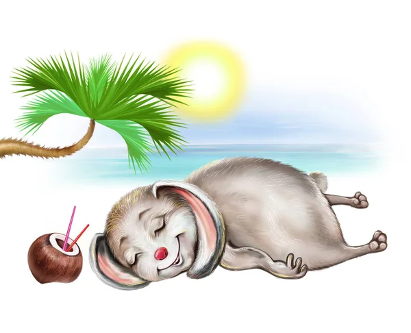 Funny plump bunny sunbathing on beach at sea vacation, cartoon animal resting under palm tree with coconut milk, isolated character on white background