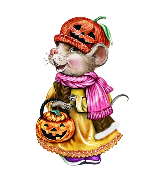 Rolig Mus Jack Lantern Hatt Med Pumpa Väska Halloween Gratulationskort — Stockfoto