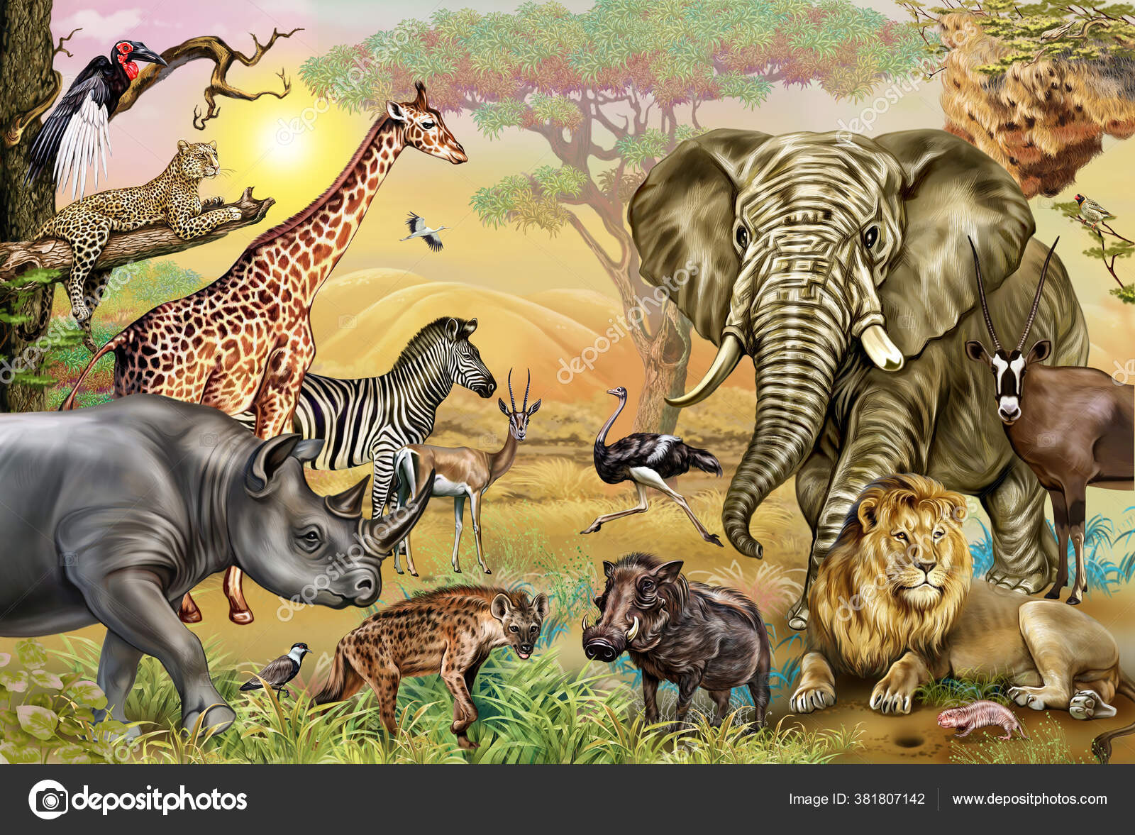 African Savannah Animals Rhinoceros Raven Lapwing Hyena Weavers Ostrich