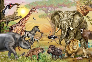Afrika savanası hayvanları: gergedan, kuzgun, lapkanat, sırtlan, dokumacı, devekuşu, leopar, yaban domuzu, antilop, ceylan, kazıcı, leylek, fil, zebra, zürafa, aslan, gerçekçi çizim